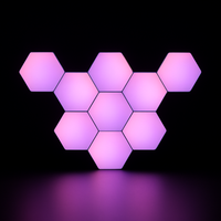 Hexagons Touch (10 panelen)